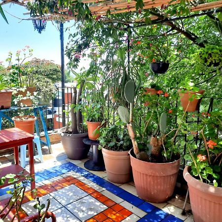 La Terraza Del Pochote Oaxaca المظهر الخارجي الصورة