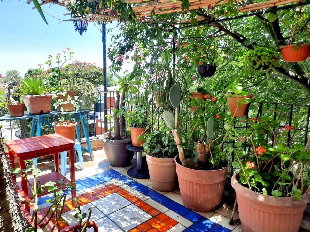 La Terraza Del Pochote Oaxaca المظهر الخارجي الصورة